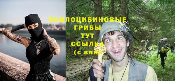 винт Пестово