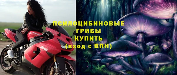 винт Пестово