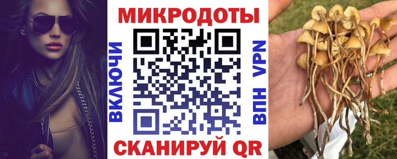 Псилоцибиновые грибы мухоморы  сколько стоит  Энем 